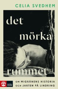 Bokomslag - Det mörka rummet