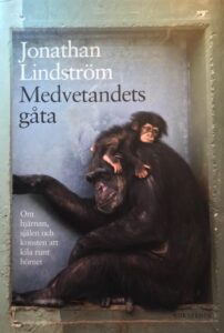 Bokomslag - Medvetandets gåta